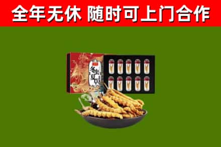 大丰回收冬虫夏草价格